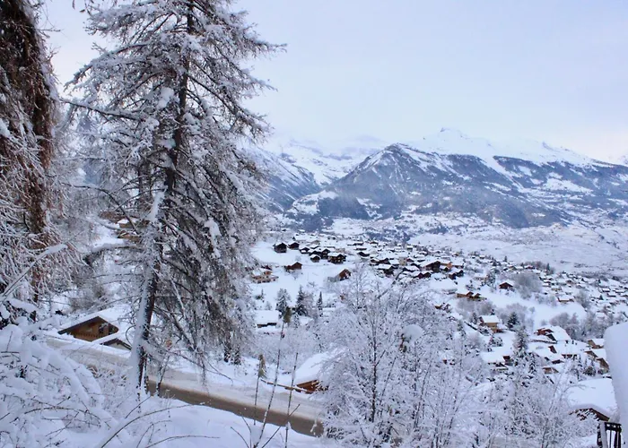 Apartament Pracondu 1 A01 - Outdoor & Fun Charming *